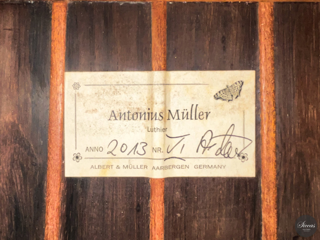 Antonius Müller - 2013 VI Doubletop