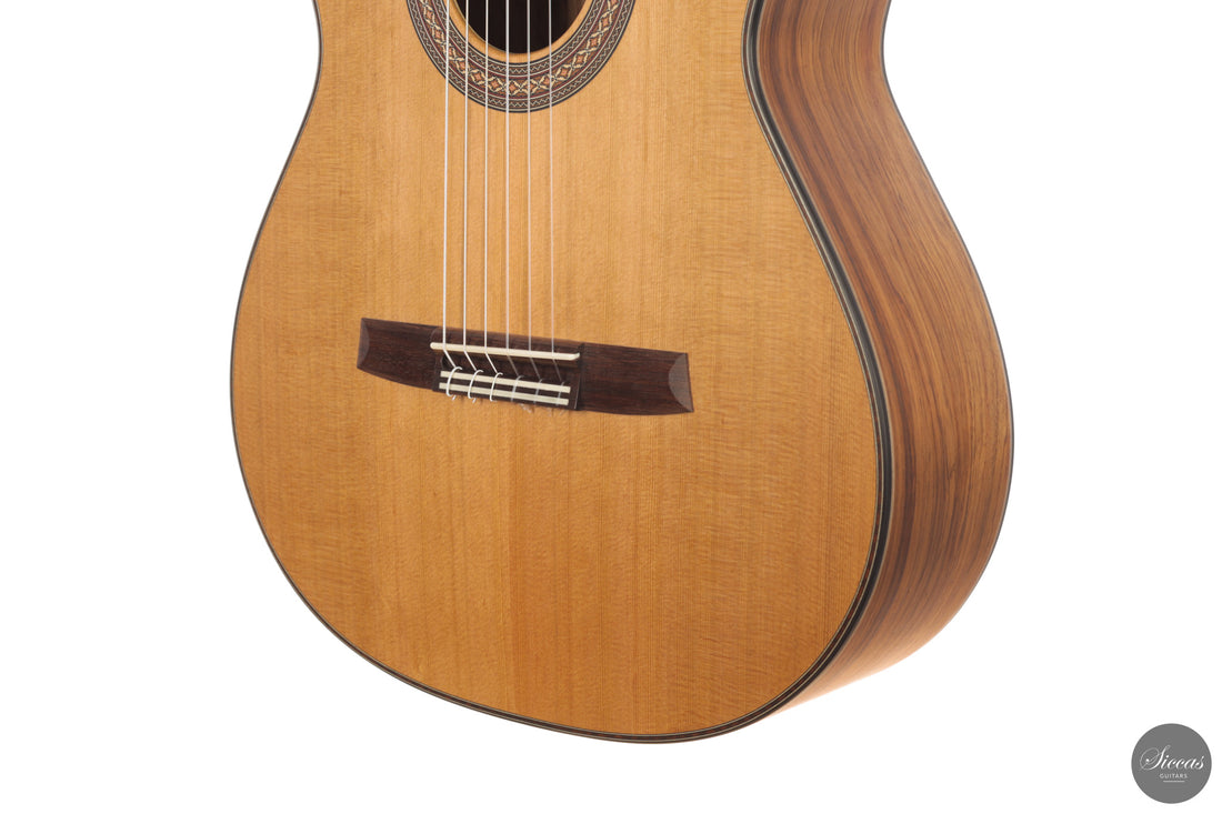 Armin Hanika - 2026 Natural Doubletop Custom 64 cm