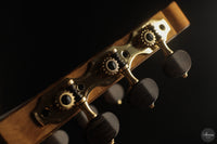 Armin Hanika - 2026 New Century-Lattice Custom