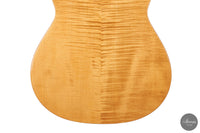 Armin Hanika - 52 AF