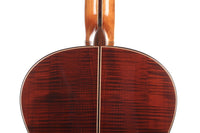 Armin Hanika - HE Doubletop N - Back and sides thumbnail