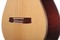 Armin Hanika - HE Doubletop N - Front view thumbnail