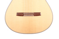 Armin Hanika - HE Doubletop N - Front view thumbnail