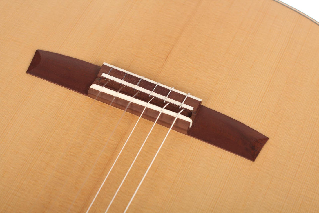 Armin Hanika - HE Doubletop N - Front view