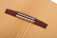 Armin Hanika - HE Doubletop N - Front view thumbnail
