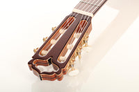 Armin Hanika - HE Doubletop N - Neck and tuner thumbnail