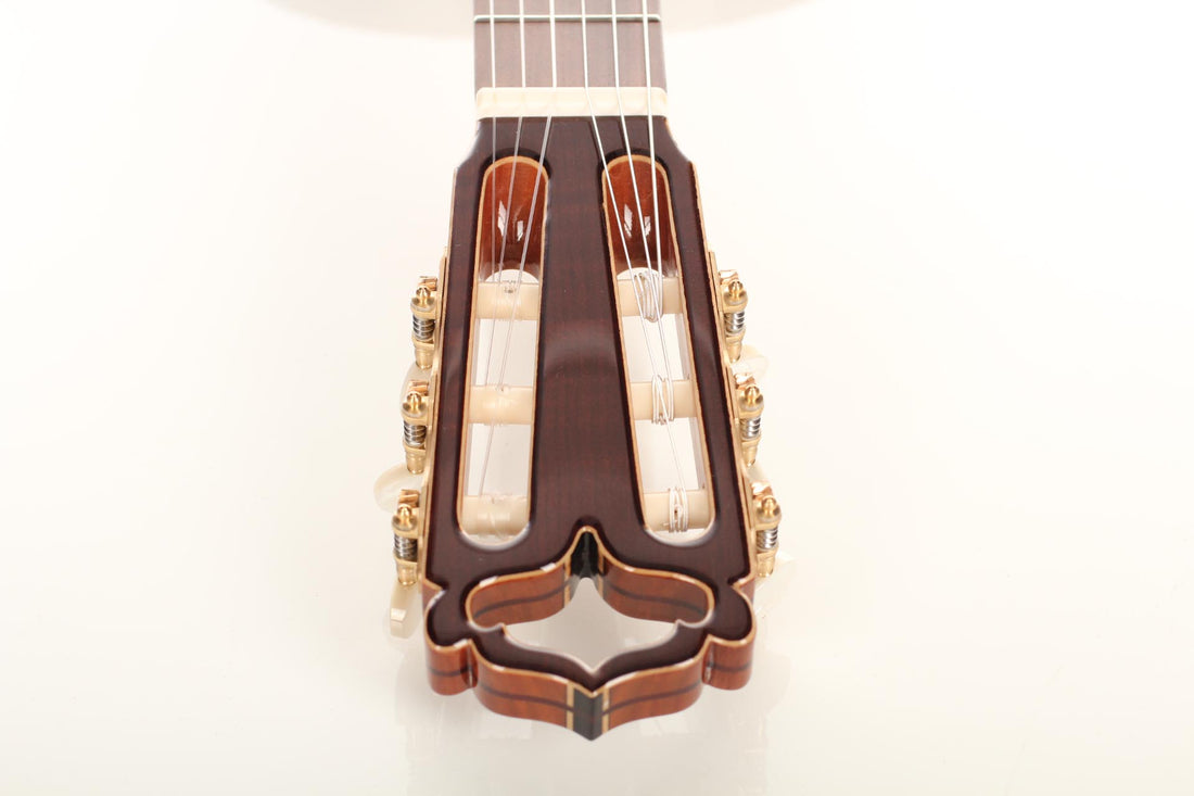 Armin Hanika - HE Doubletop N - Neck and tuner