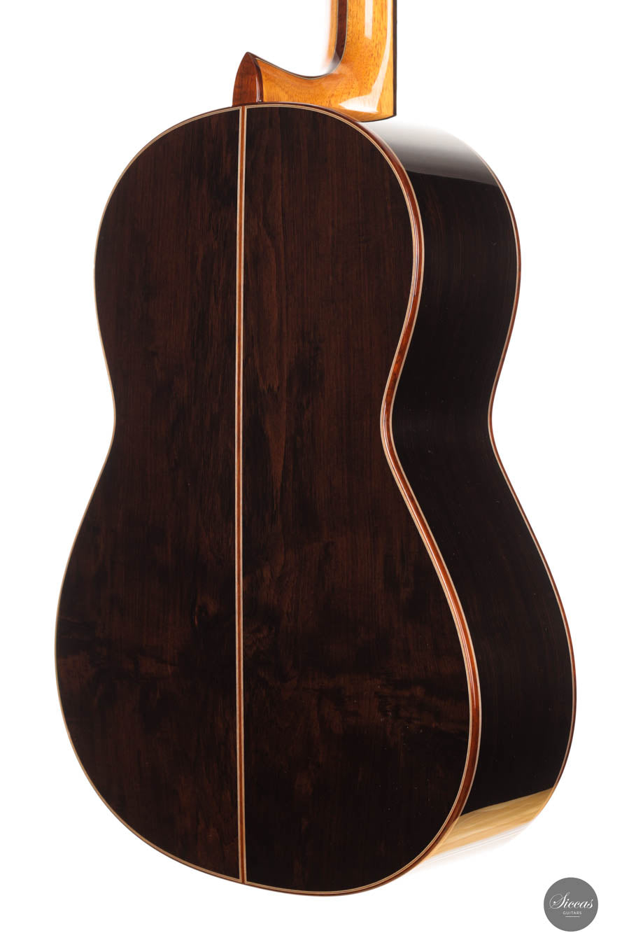 Armin Hanika - 1a DTL Custom - Elevated fingerboard