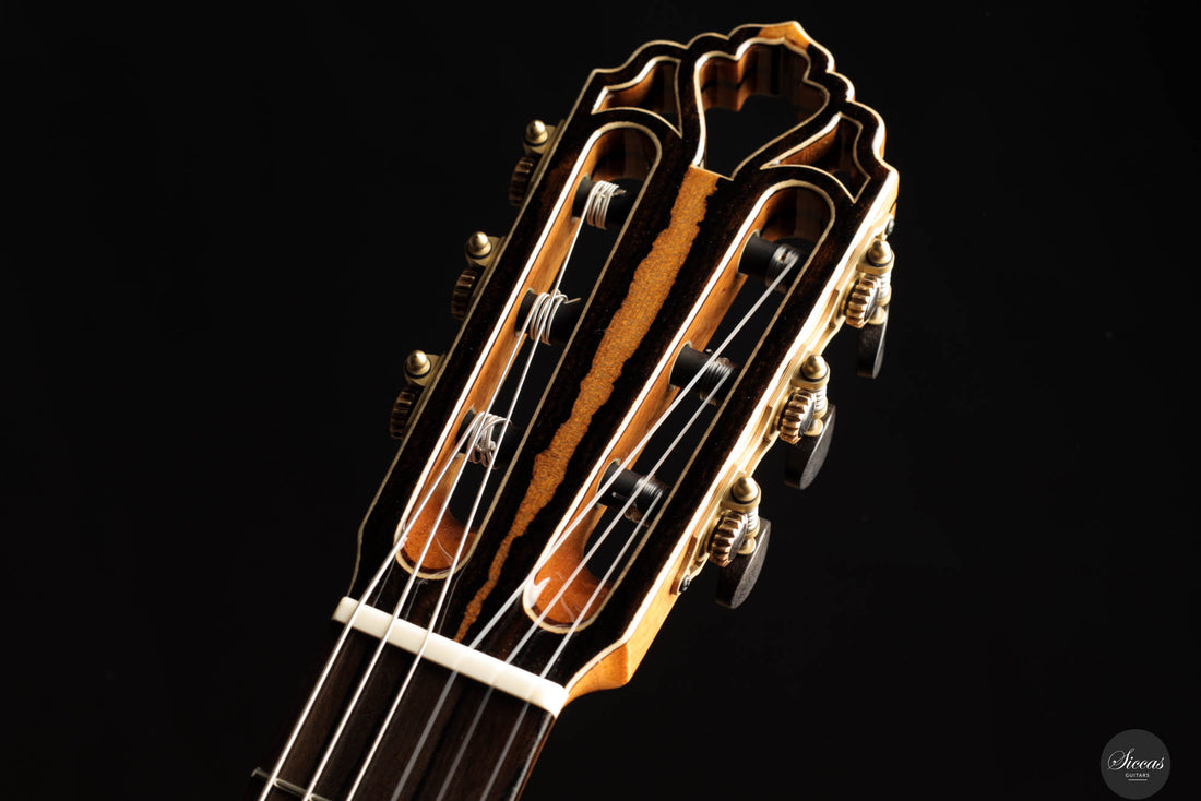 Armin Hanika - 1a DTL Custom - Elevated fingerboard