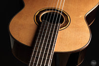 Armin Hanika - 1a DTL Custom - Elevated fingerboard