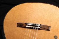 Armin Hanika - 1a DTL Custom - Elevated fingerboard