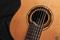 Armin Hanika - 1a DTL Custom - Elevated fingerboard