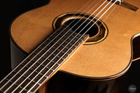 Armin Hanika - 1a DTL Custom - Elevated fingerboard
