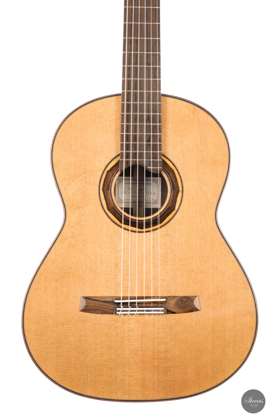 Armin Hanika - 1a DTL Custom - Elevated fingerboard