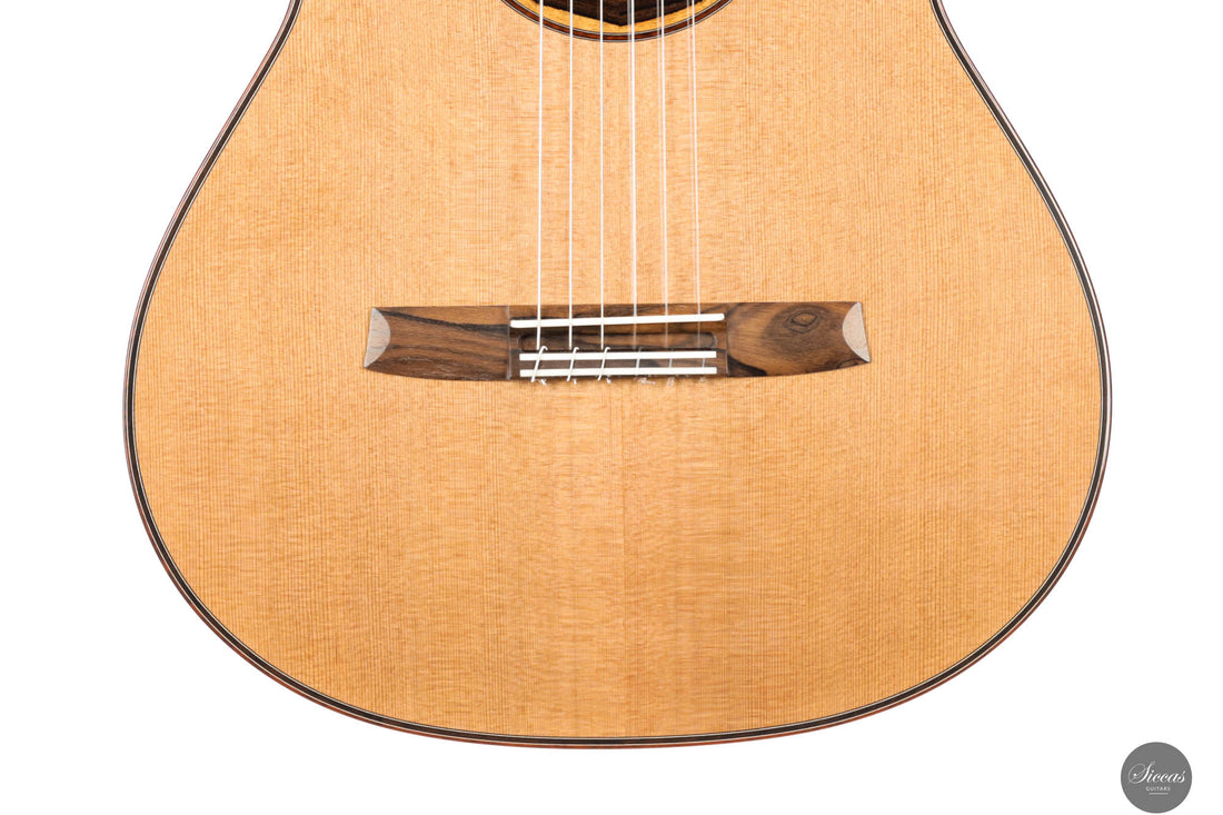 Armin Hanika - 1a DTL Custom - Elevated fingerboard