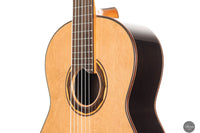 Armin Hanika - 1a DTL Custom - Elevated fingerboard