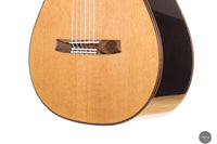 Armin Hanika - 1a DTL Custom - Elevated fingerboard
