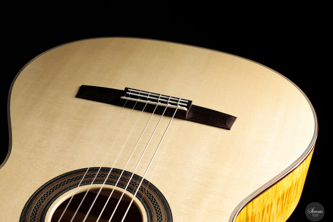 Armin Hanika - HE-Torres Custom Spruce/Maple