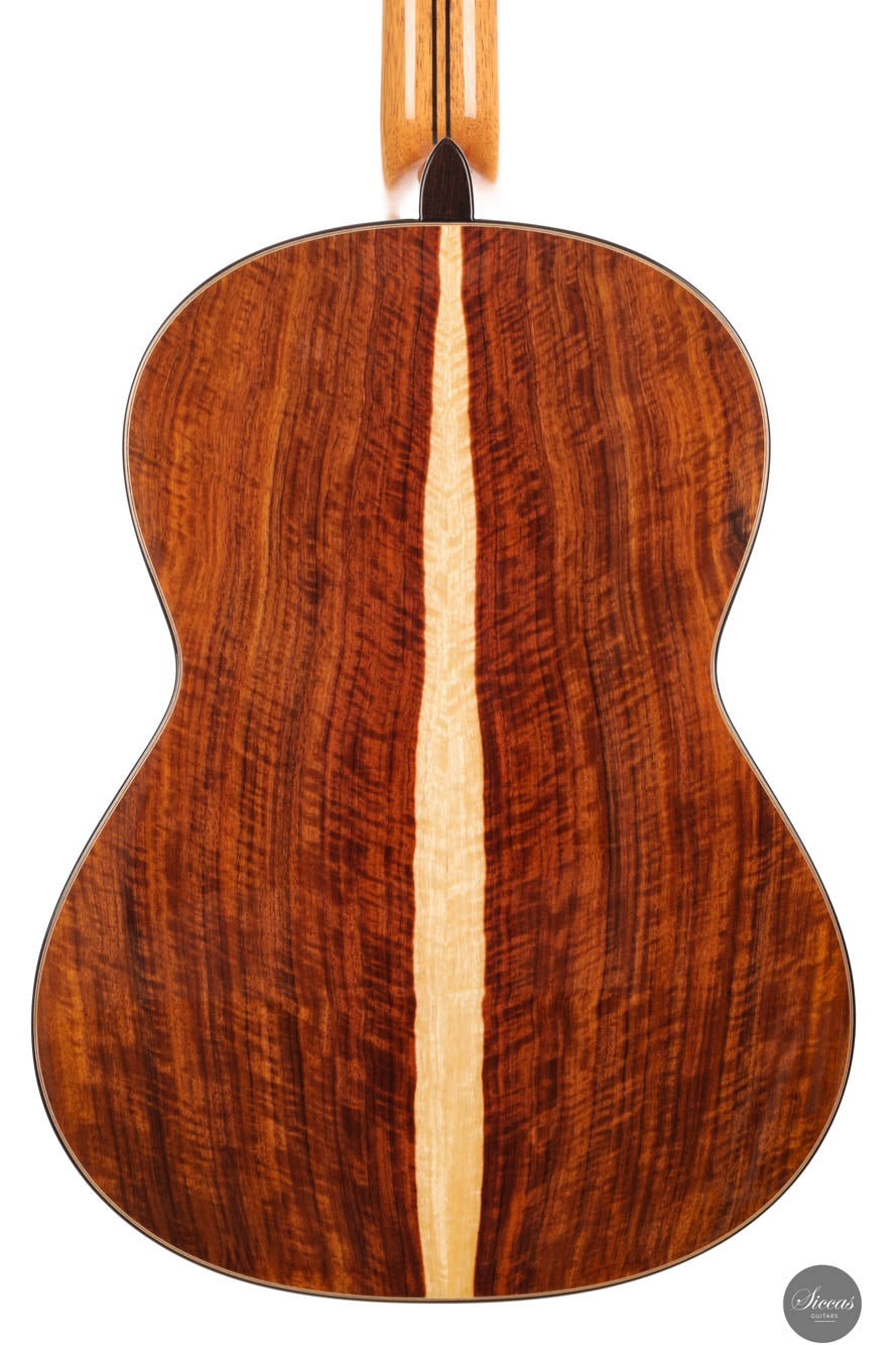 Armin Hanika - New Century Doubletop Custom