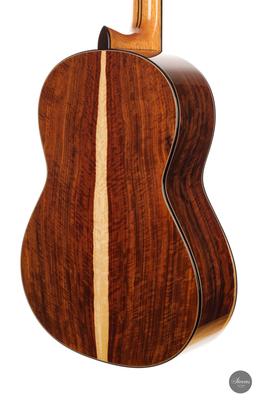 Armin Hanika - New Century Doubletop Custom