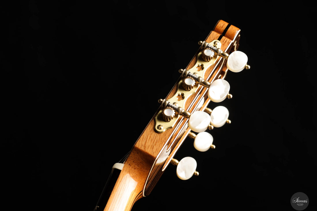 Armin Hanika - New Century Doubletop Custom