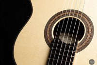 Armin Hanika - New Century Doubletop Custom