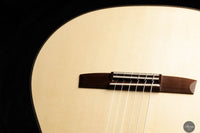 Armin Hanika - New Century Doubletop Custom