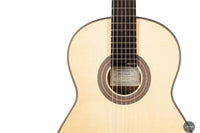 Armin Hanika - New Century Doubletop Custom