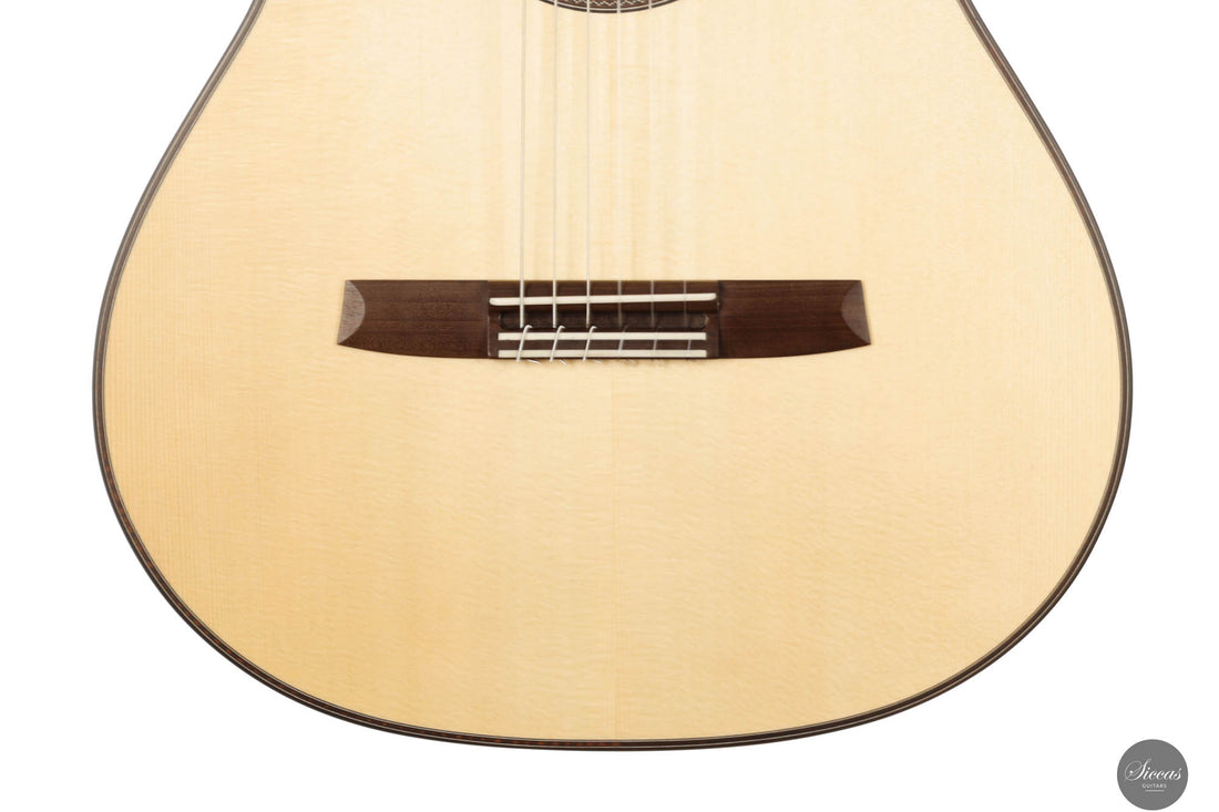 Armin Hanika - New Century Doubletop Custom