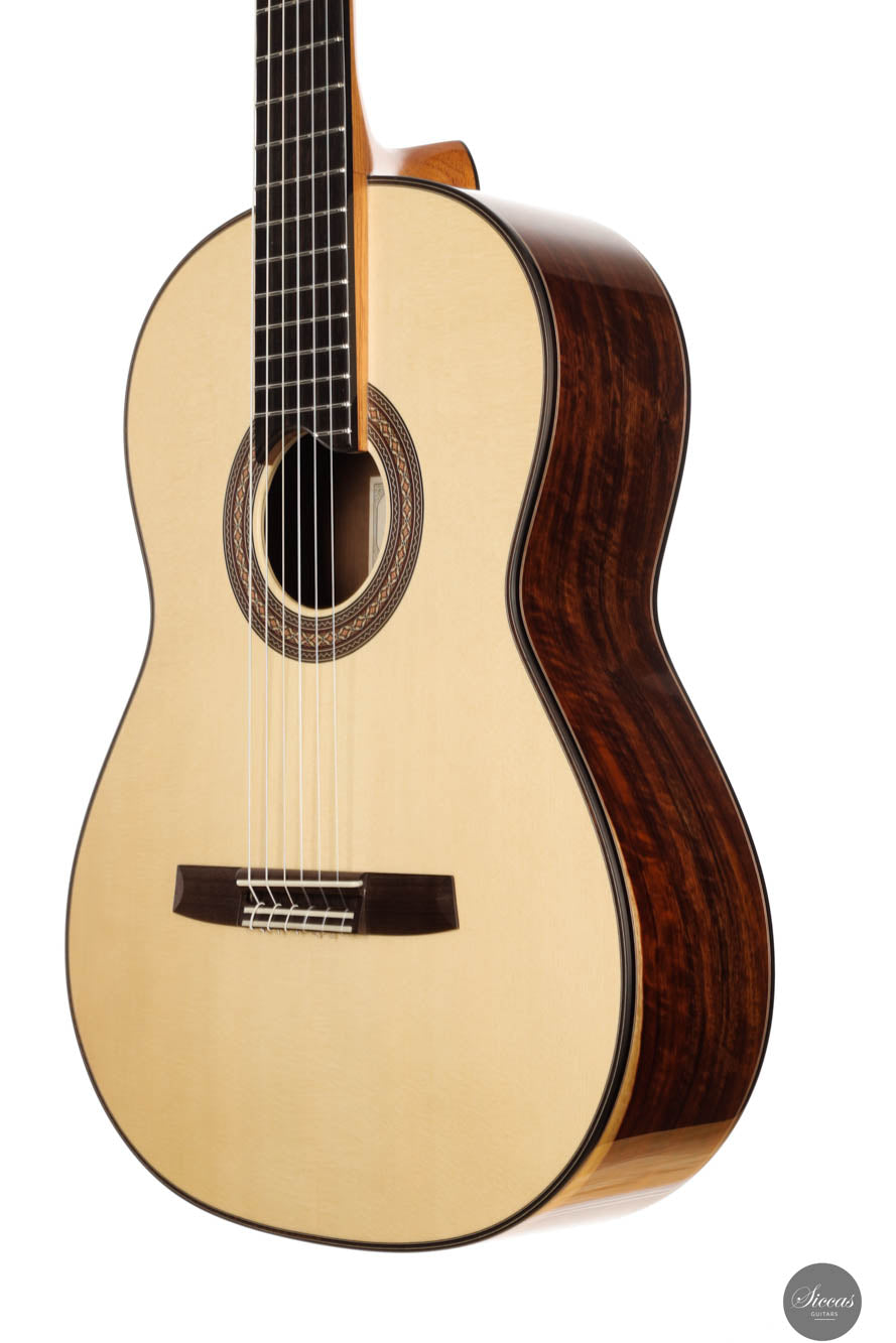 Armin Hanika - New Century Doubletop Custom