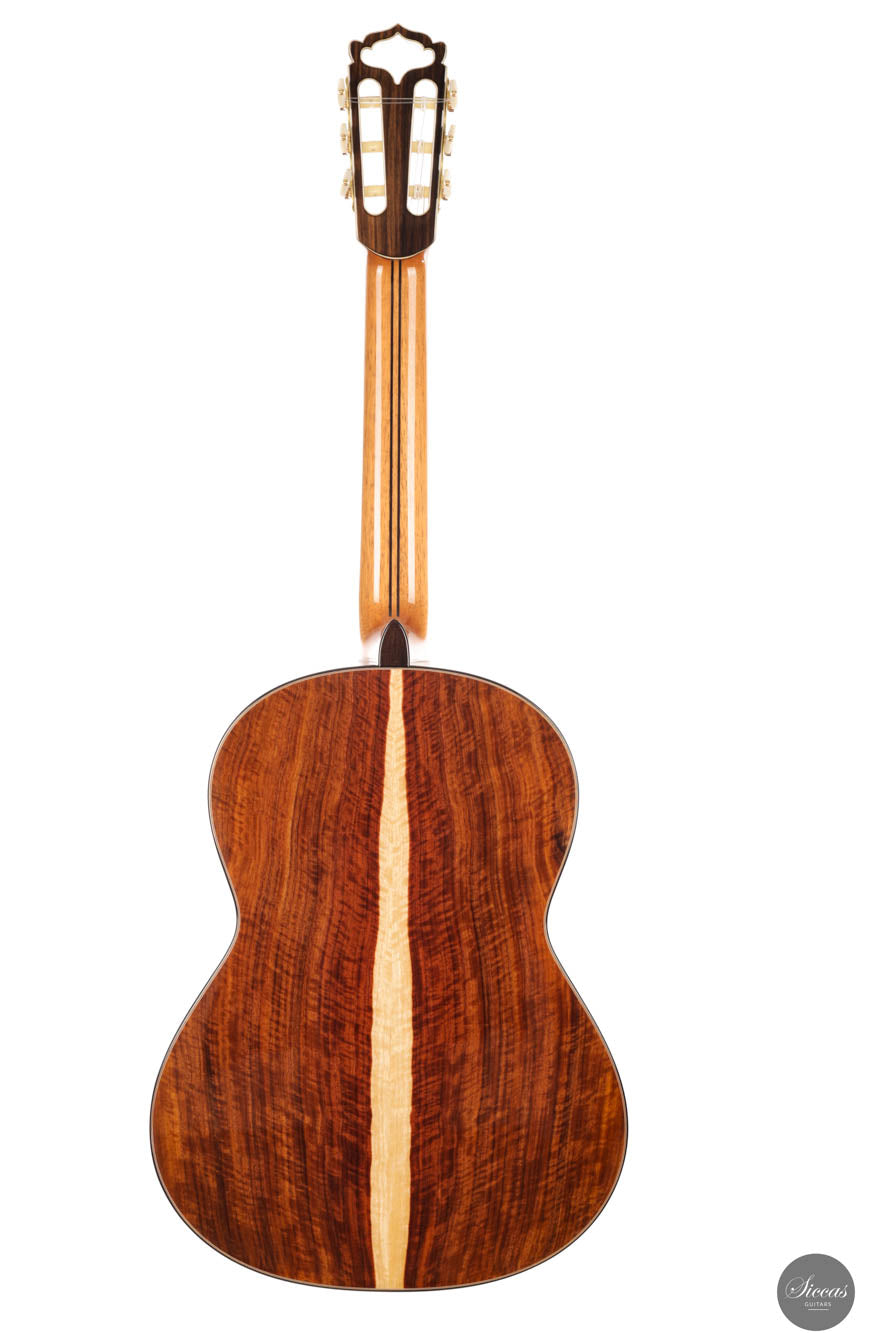 Armin Hanika - New Century Doubletop Custom