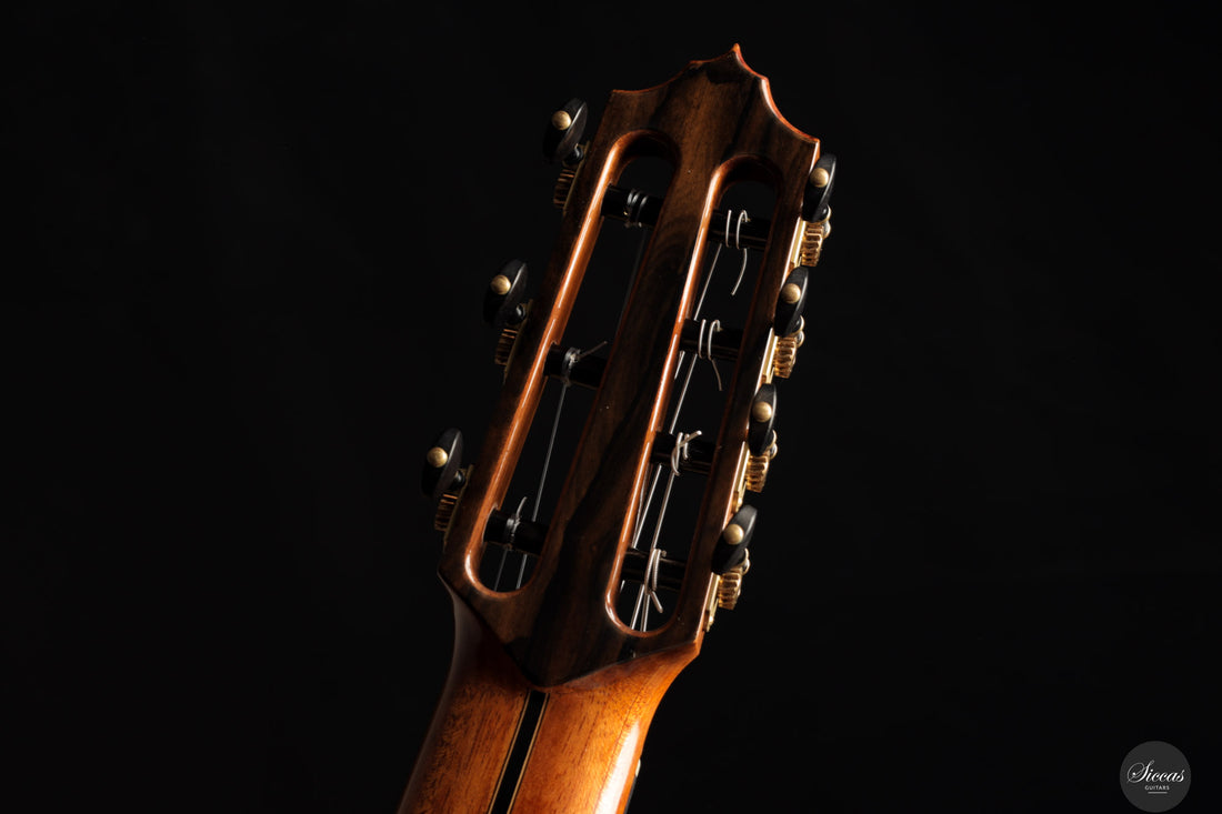 Boguslaw Teryks - 2019 - 7 strings