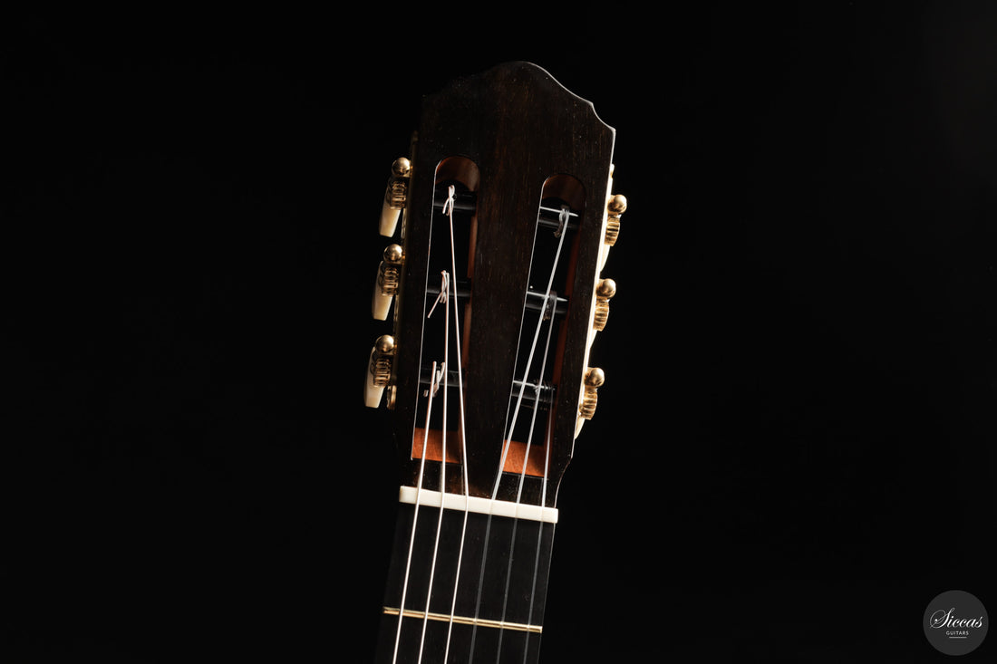 Chai Di - 2026 Cedar