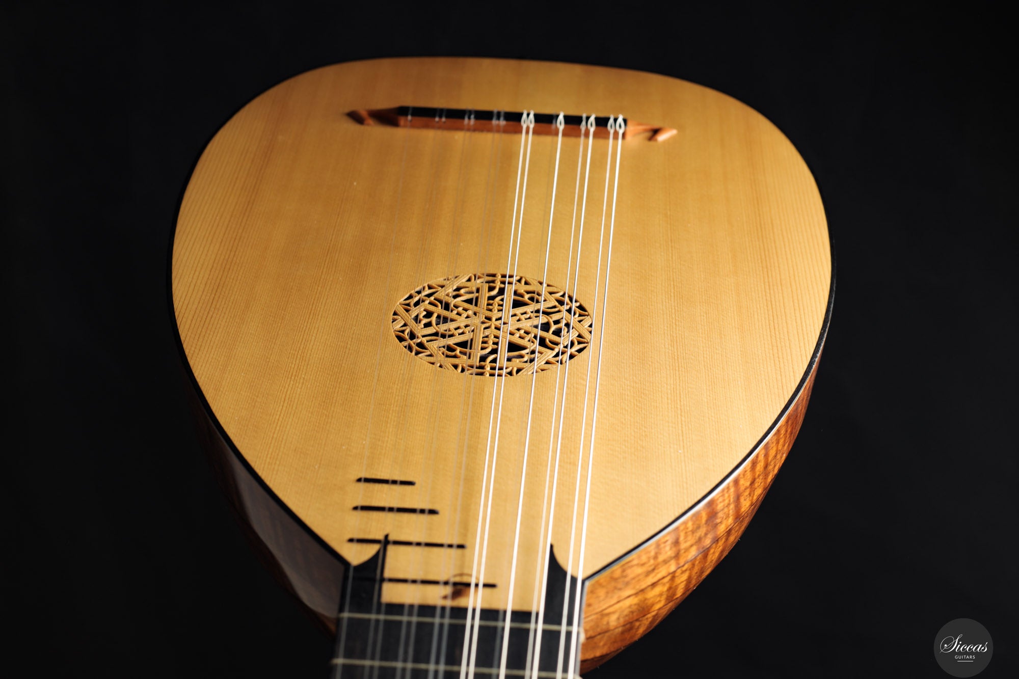 Chiara Frisio - 2024 - 8-course Renaissance Lute - Classical