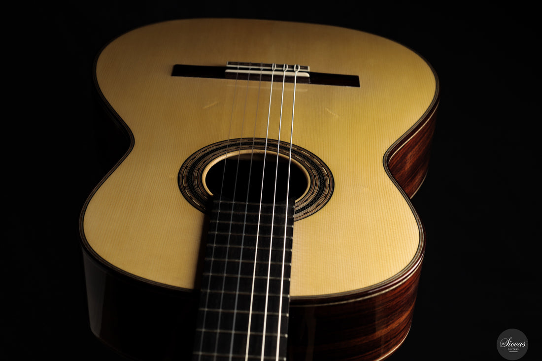 Chiara Frisio - 2025 - No. 10