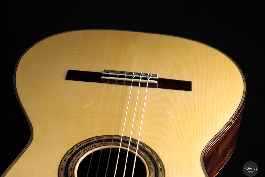 Chiara Frisio - 2025 - No. 10