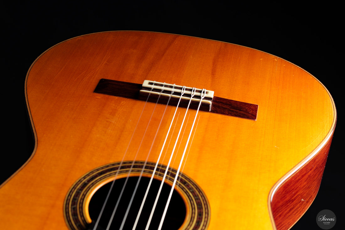 Daniel Friederich - 1972 No. 345