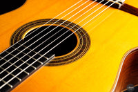 Daniel Friederich - 1972 No. 345