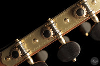 Daniele Chiesa - 2025 Doubletop XXX Aniversary model