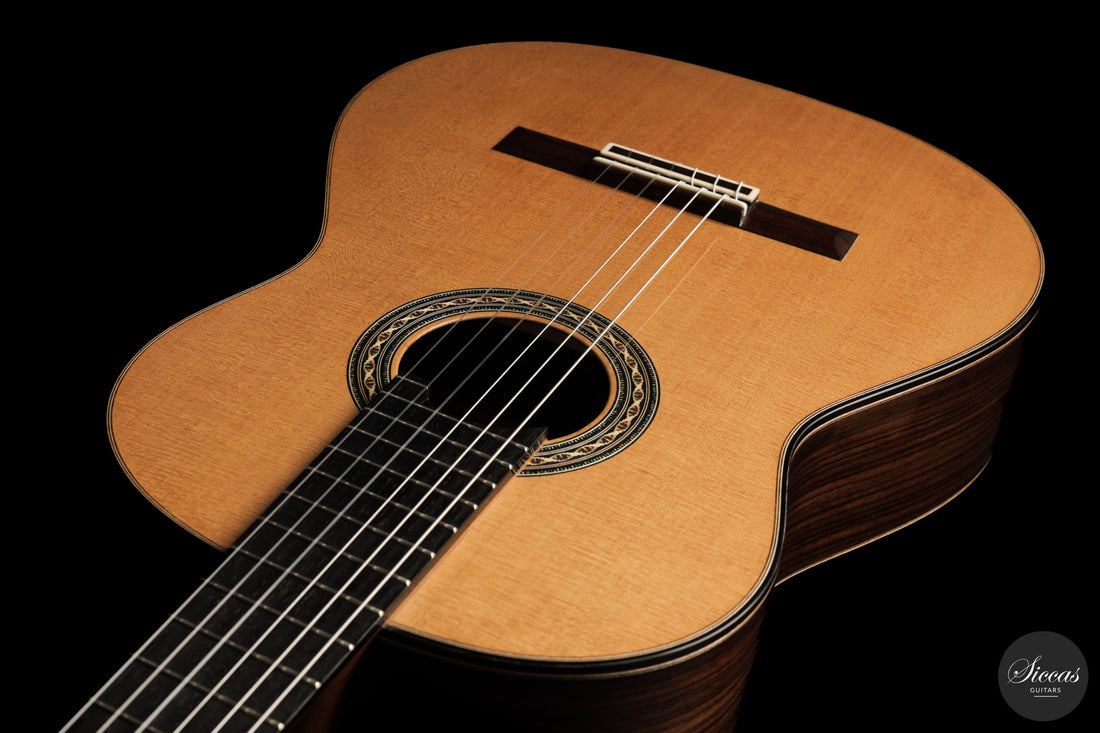 Daniele Chiesa - 2025 Doubletop XXX Aniversary model