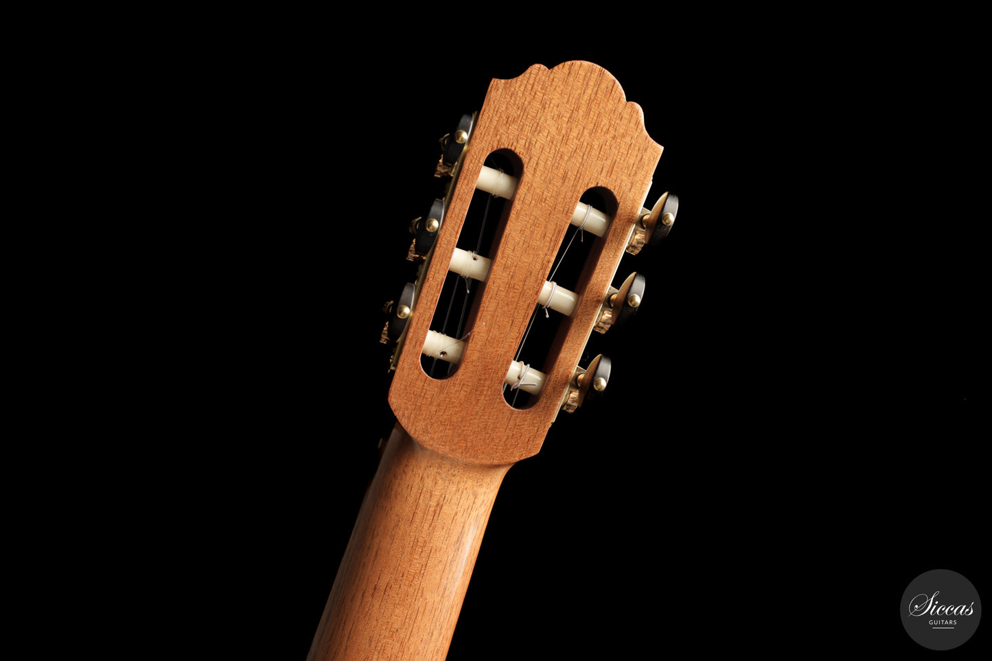 Daniele Chiesa - 2025 Doubletop XXX Aniversary model