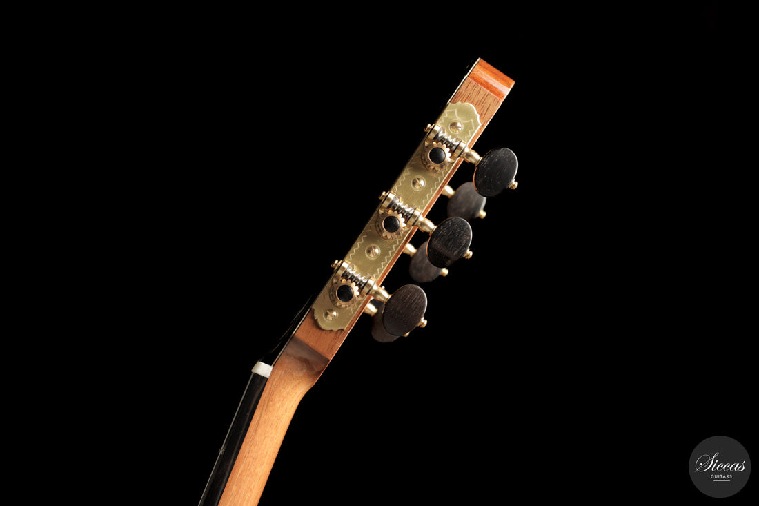 Daniele Chiesa - 2025 Doubletop XXX Aniversary model