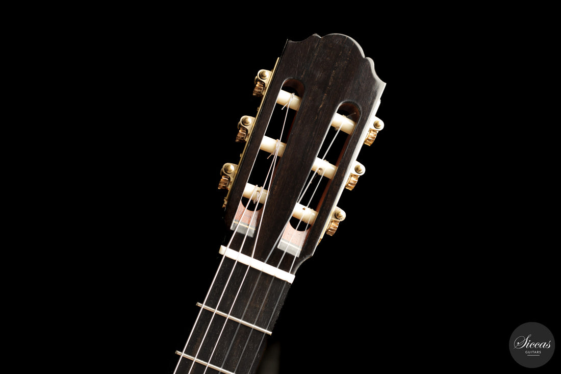 Daniele Chiesa - 2025 Doubletop XXX Aniversary model