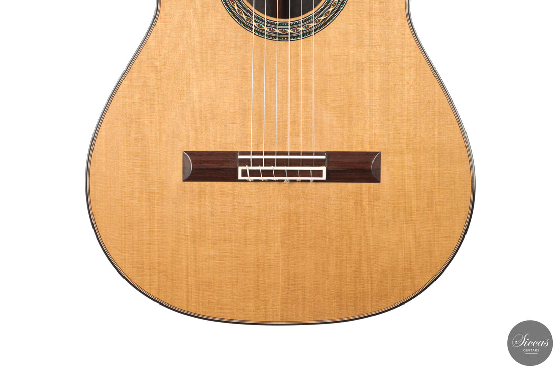 Daniele Chiesa - 2025 Doubletop XXX Aniversary model