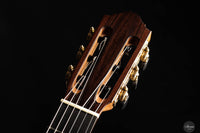 Danilo Bazzana - 2024 No. 67 64 cm