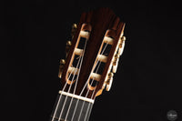 Danilo Bazzana - 2025 - No. 73 - 64 cm