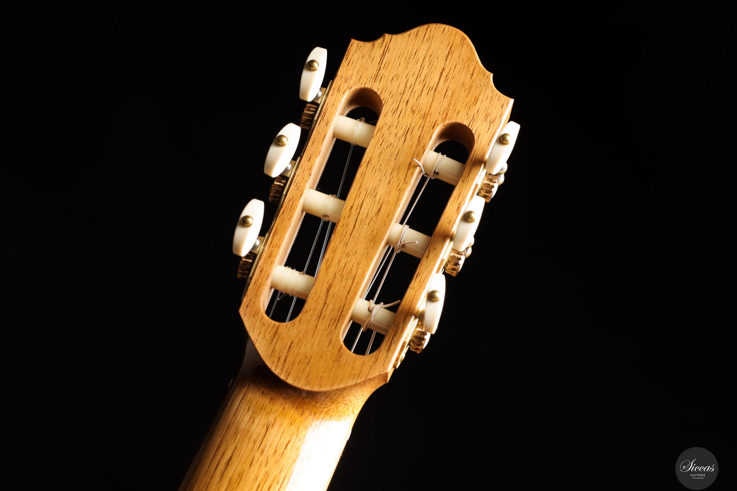Danilo Bazzana - 2025 - No. 73 - 64 cm