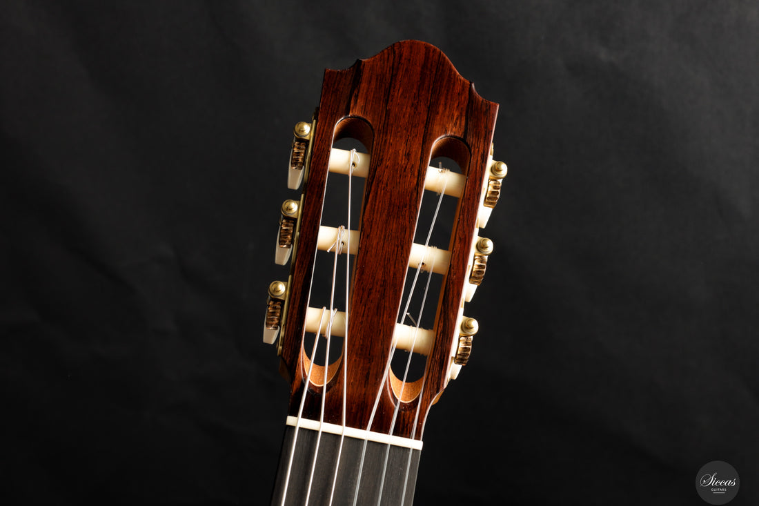 Danilo Bazzana - 2026 N.76 REG Limited Edition