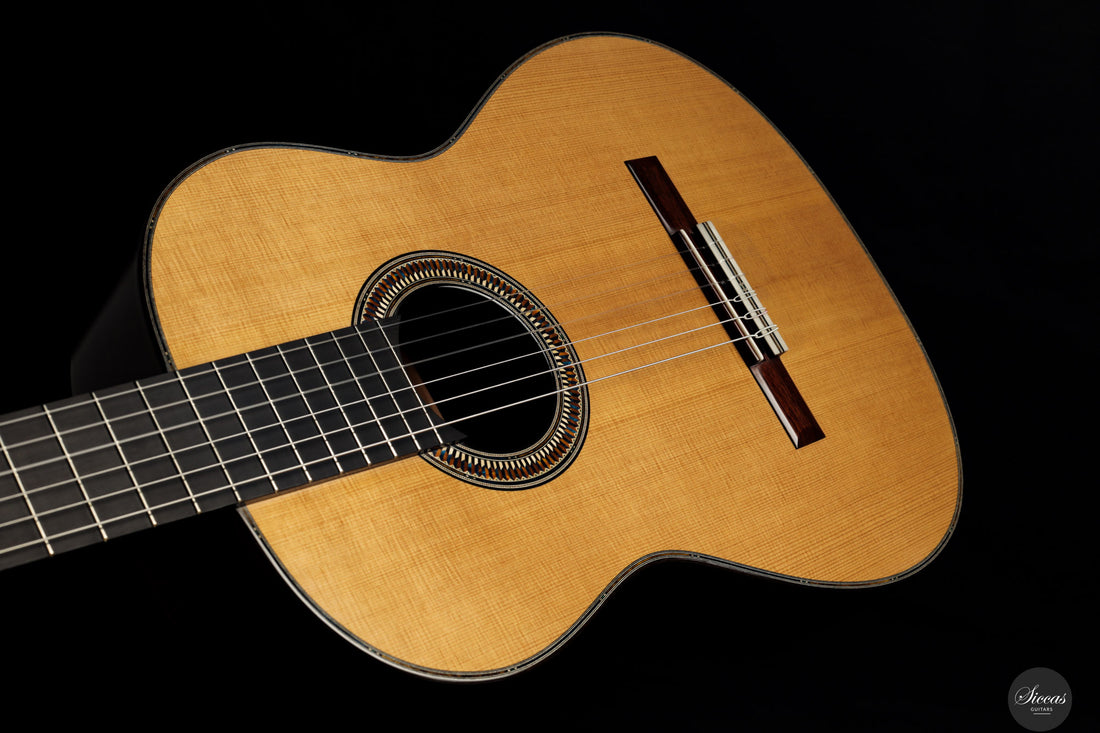 Danilo Bazzana - 2026 N.76 REG Limited Edition
