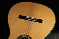 Danilo Bazzana - 2026 N.76 REG Limited Edition